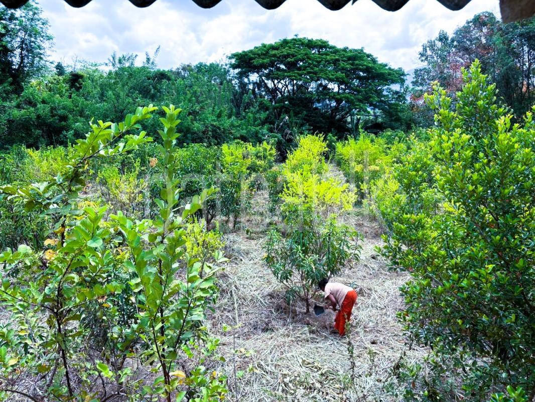 Agricultural Land for Sale in Monaragala