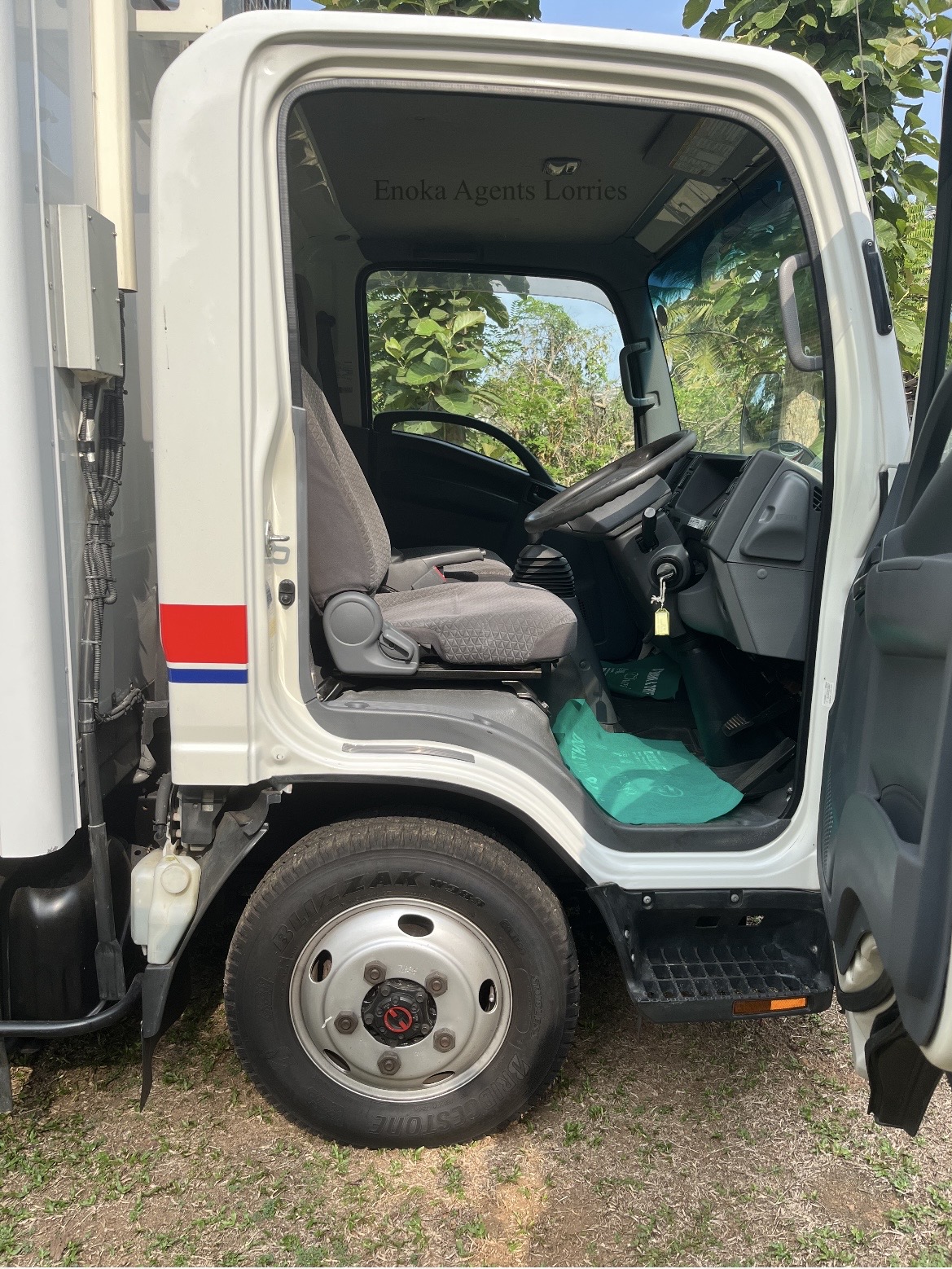 Isuzu ELF 2018 - பயன்படுத்தப்பட்டது டிரக் sale in Sri Lanka - patpat.lk