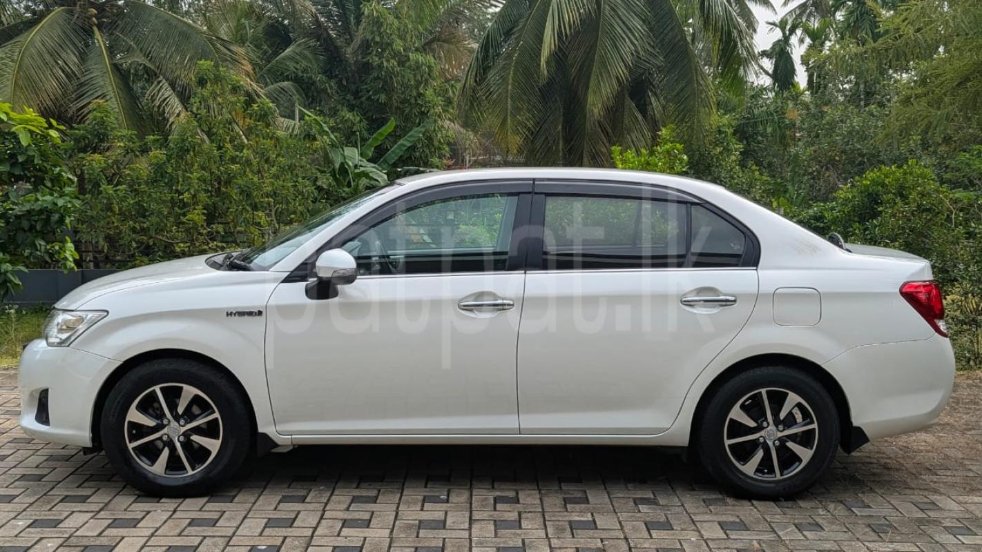 Advertisement image 2