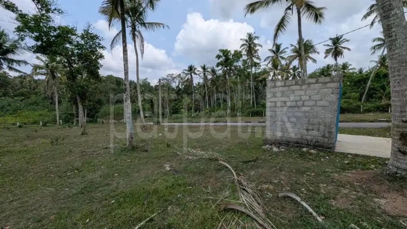 Commercial Land for Sale in Minuwangoda