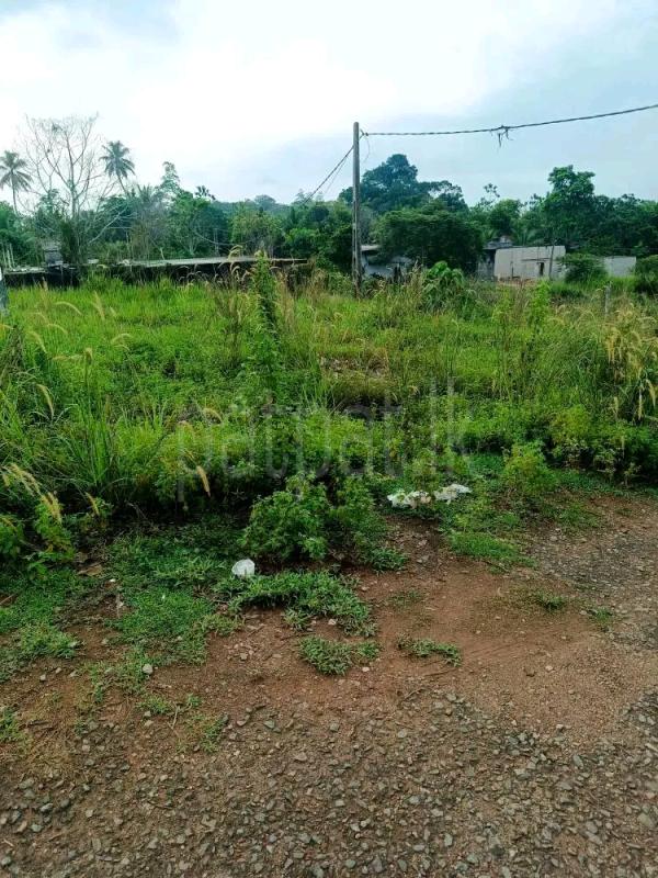Residential Land for Sale in Bandaragama
