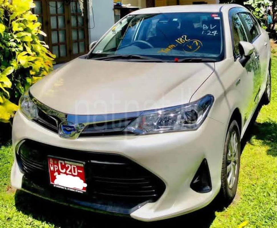 Advertisement image 1