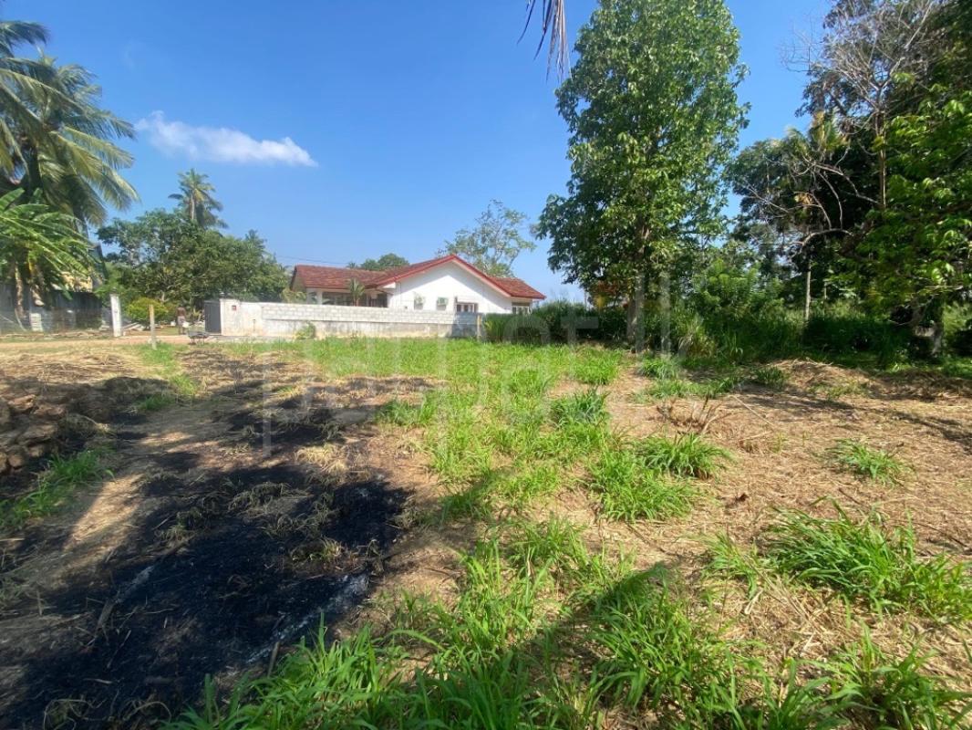 Residential Land for Sale in Rajagiriya