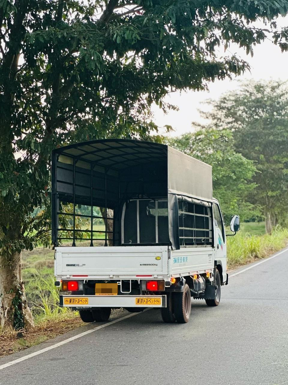 Advertisement image 4