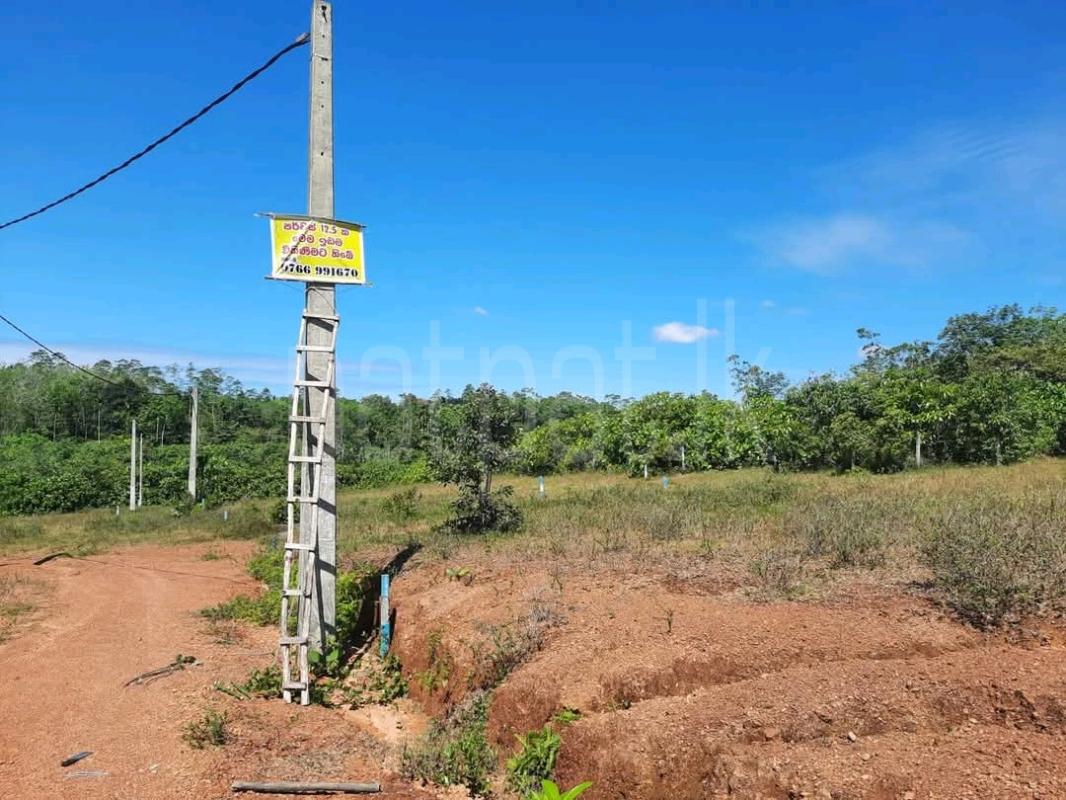 Agricultural Land for Sale in Mirigama ads-image-1