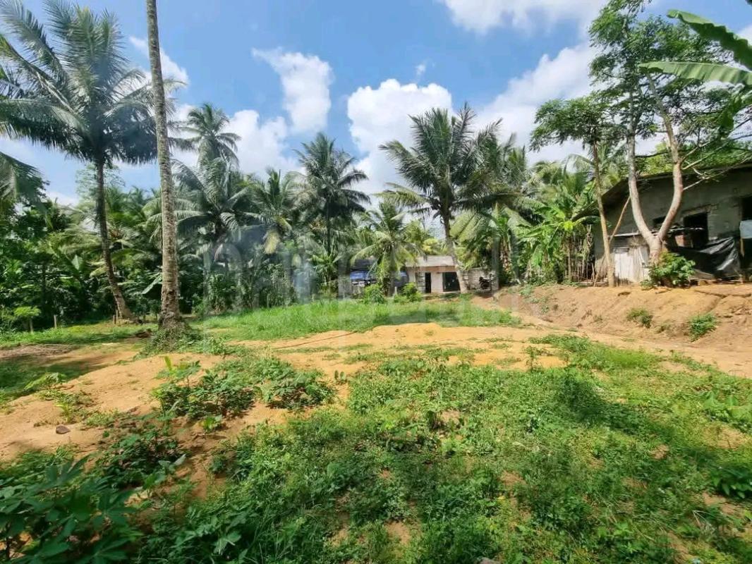 Agricultural Land for Sale in Mawathagama ads-image-1