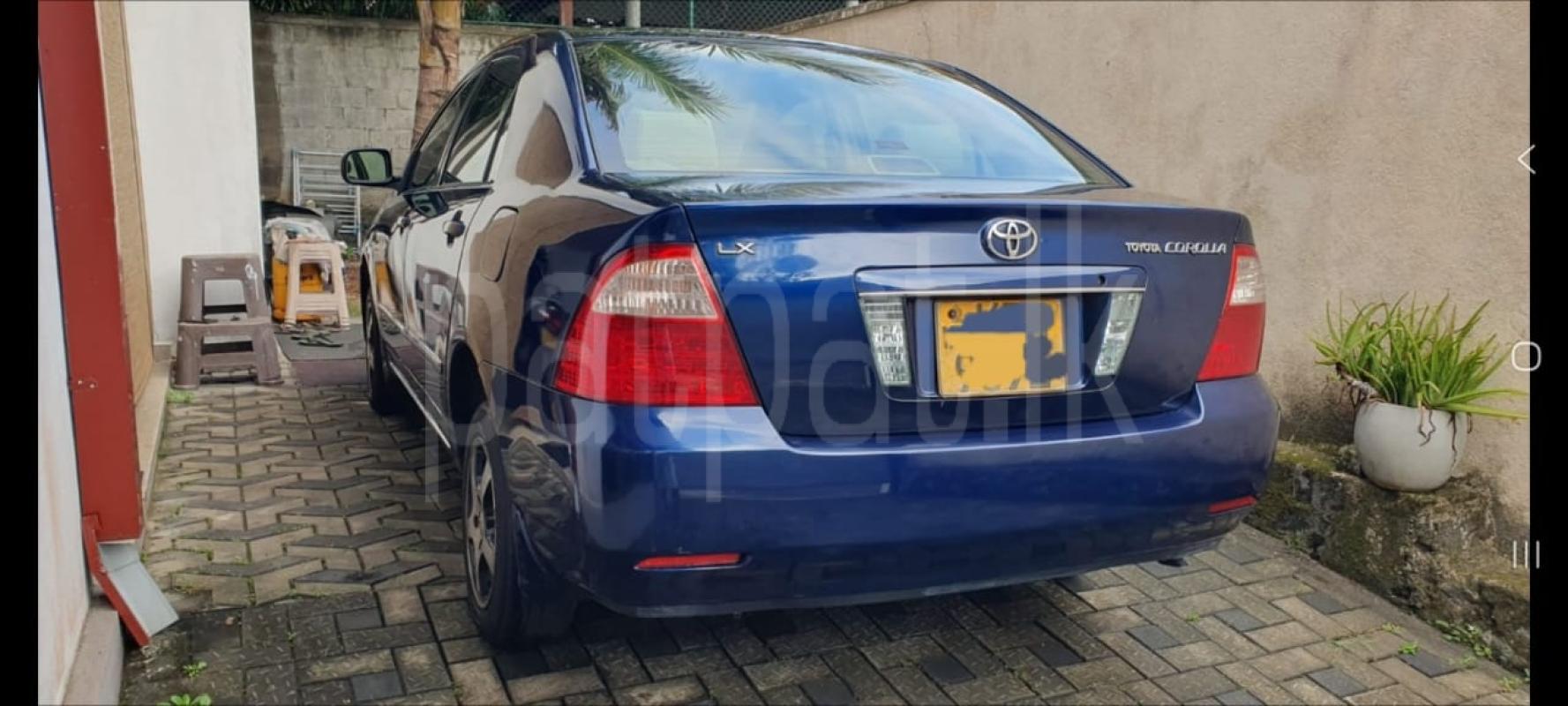 Advertisement image 3