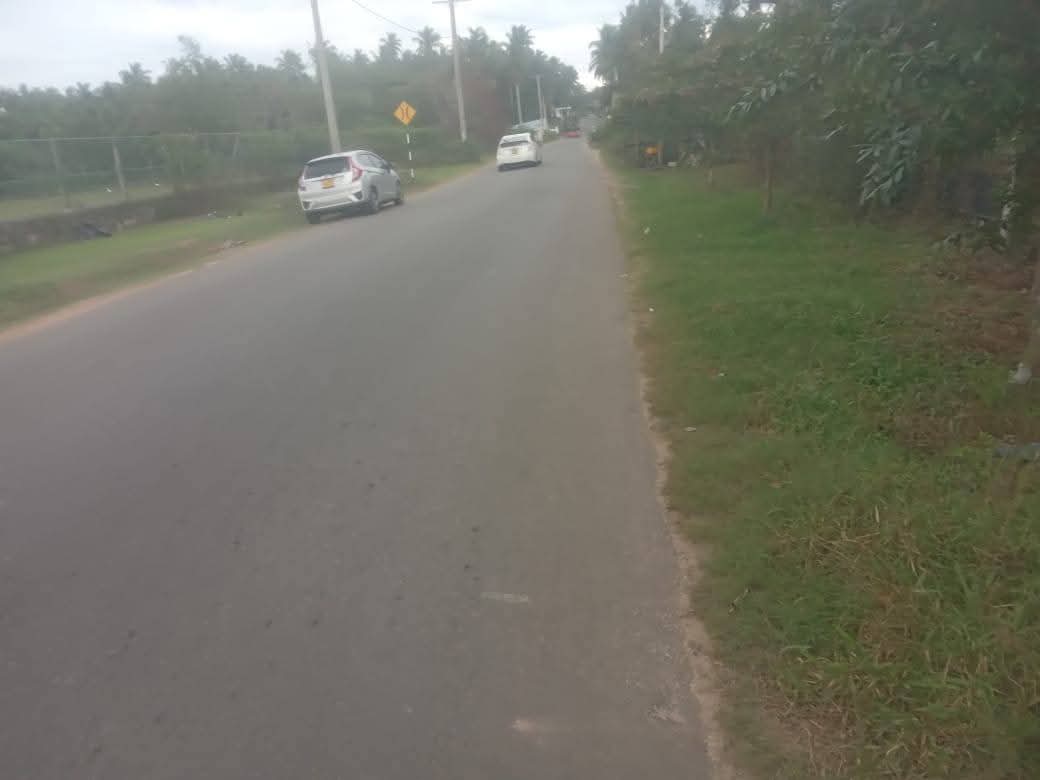 Agricultural Land for Sale in Pallama