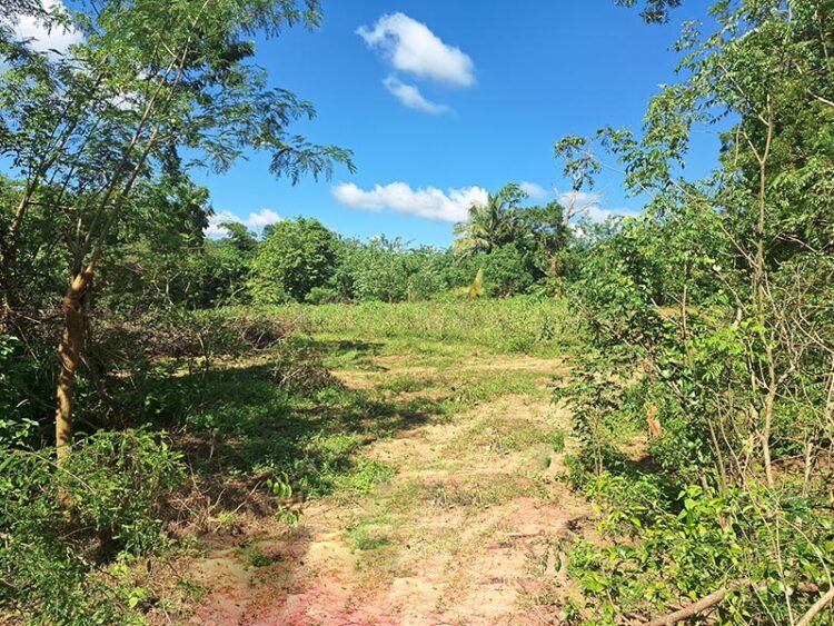 Residential Land for Sale in Hambantota