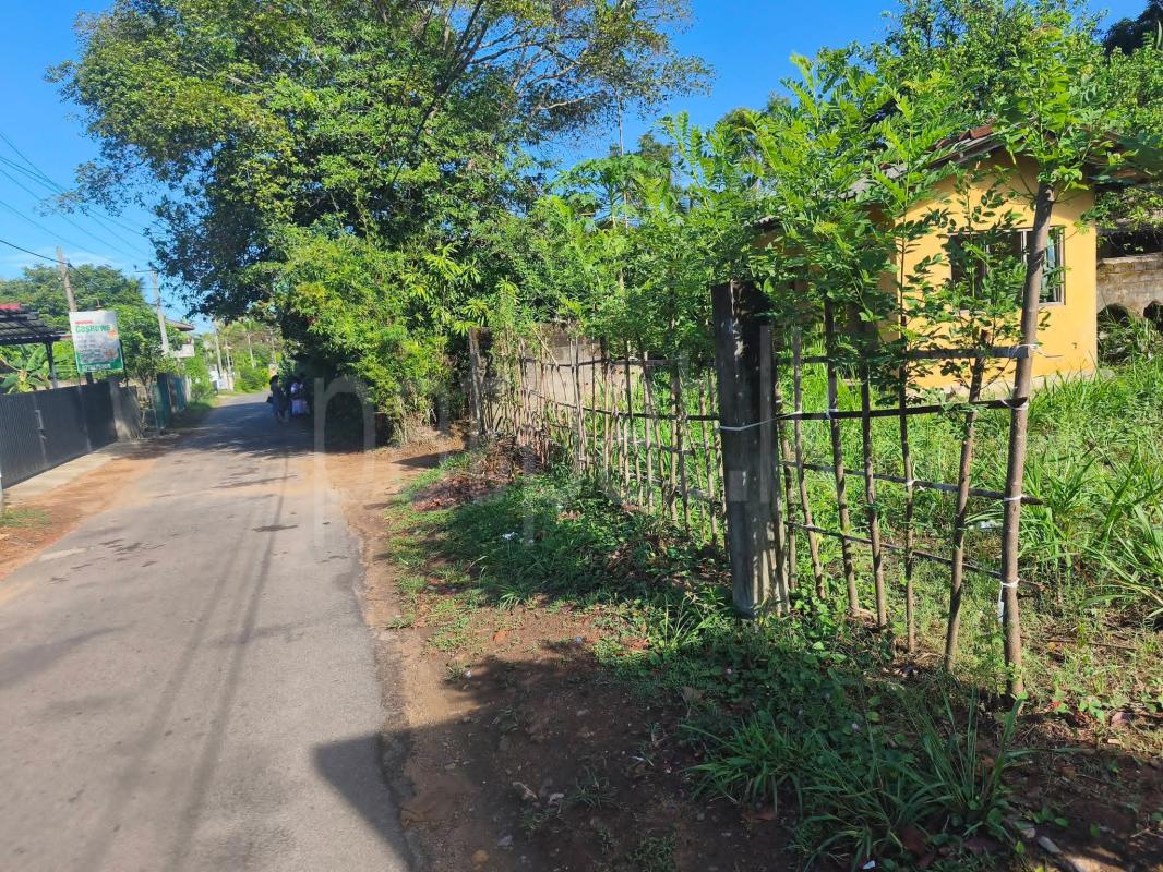 Agricultural Land for Sale in Kadawatha