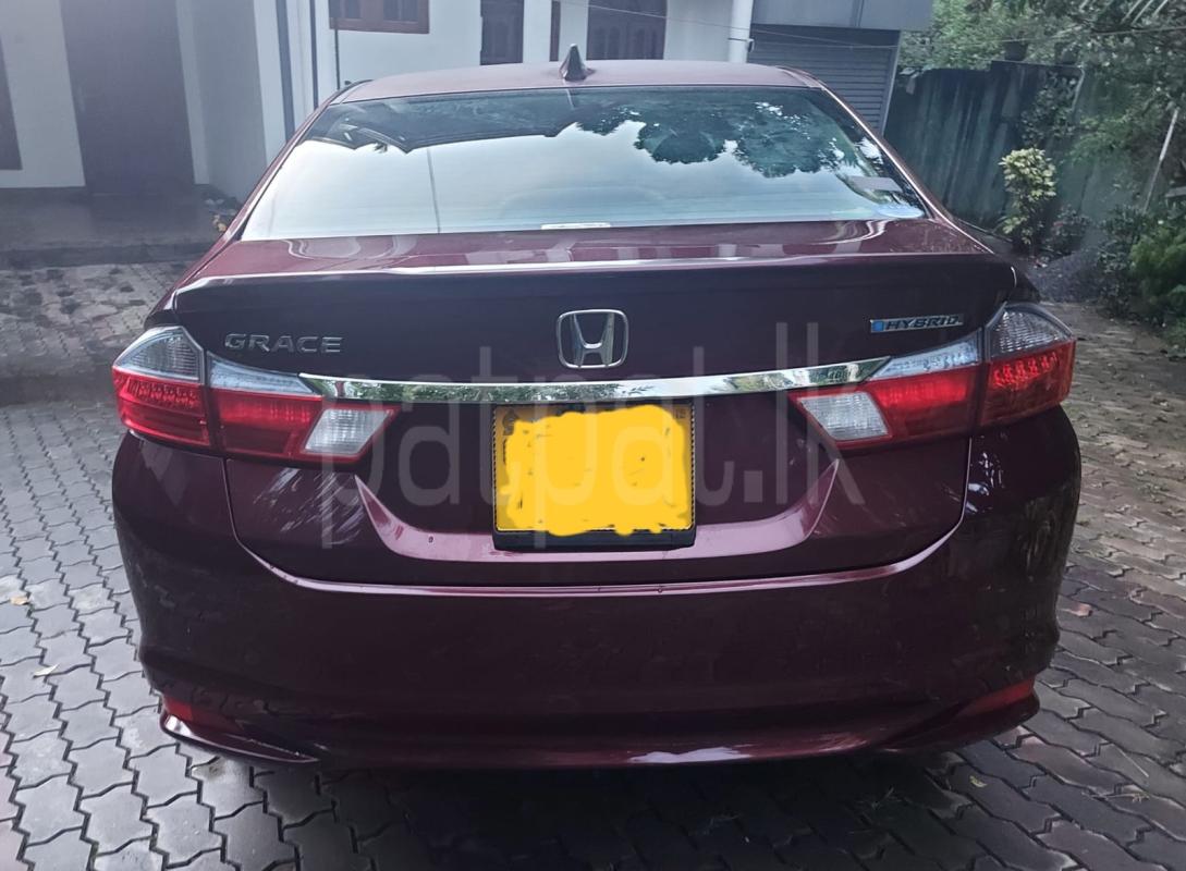 Advertisement image 3