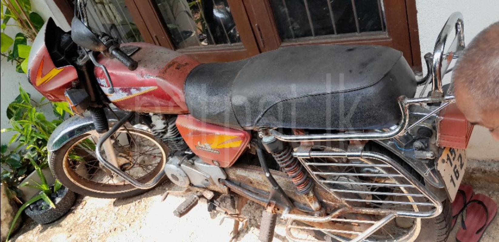 Advertisement image 2