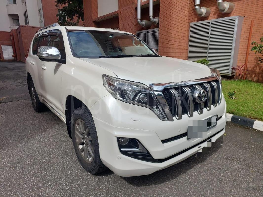 Advertisement image 2