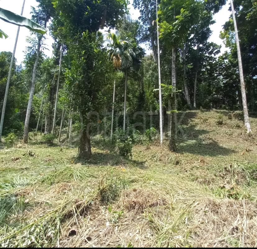 Land for Sale in Kandy