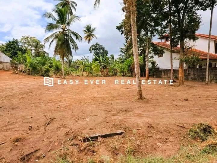 Commercial Land for Sale in Gampaha