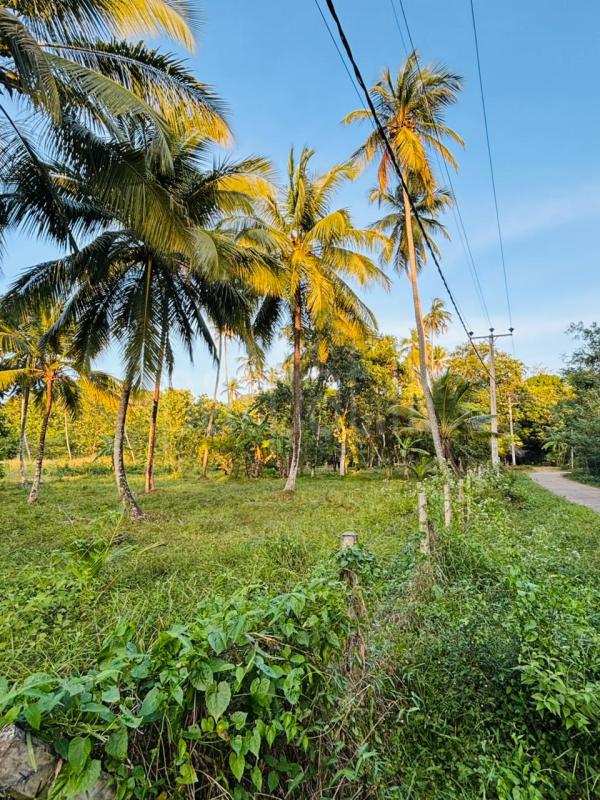 Advertisement image 9