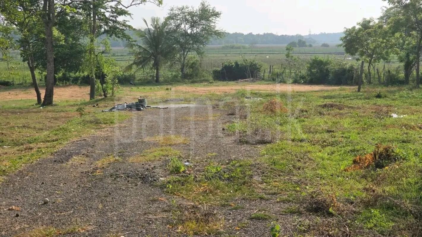 Residential Land for Sale in Kandana