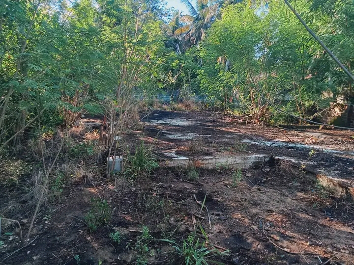 Commercial Land for Sale in Ambalantota ads-image-1