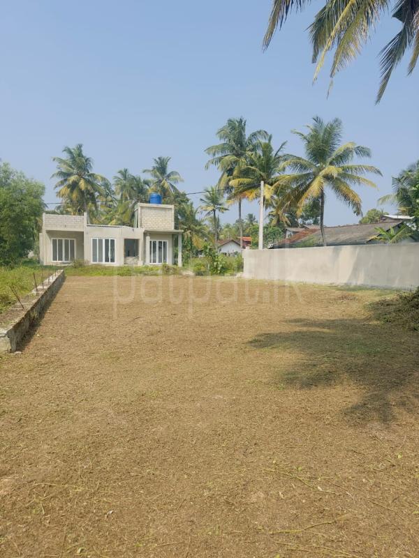 Commercial Land for Sale in Negombo ads-image-1