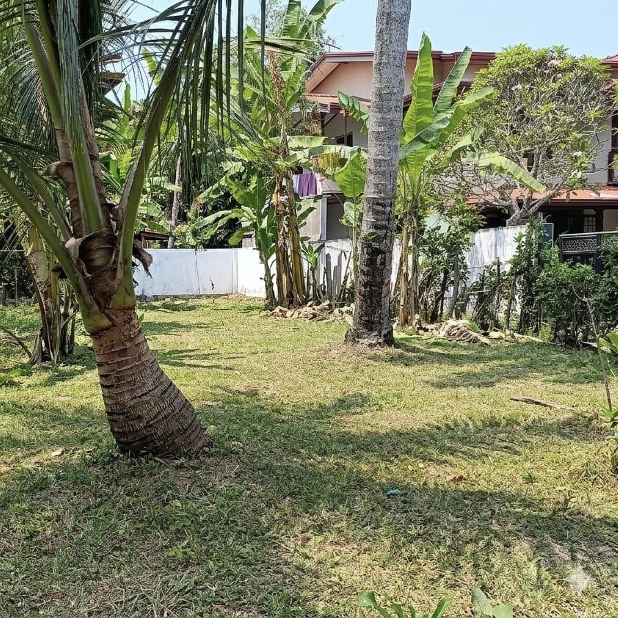 Commercial Land for Sale in Wattala