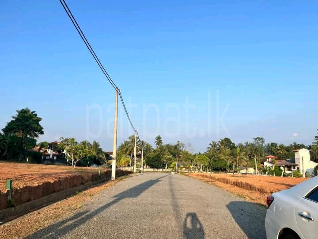 Commercial Land for Sale in Waskaduwa