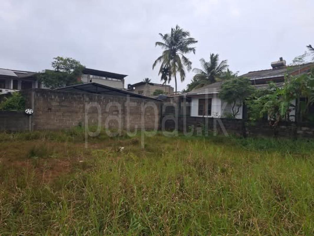 Agricultural Land for Sale in Panadura ads-image-1