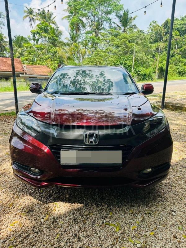 Advertisement image 1