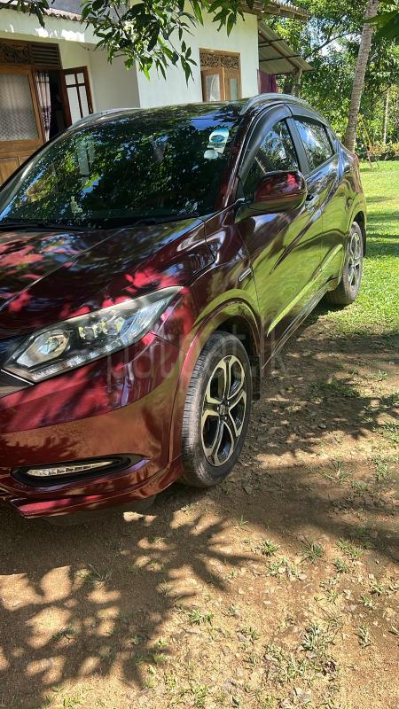 Advertisement image 3