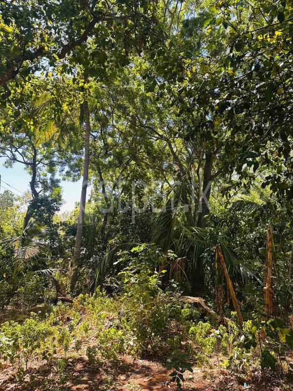 Residential Land for Sale in Kataragama