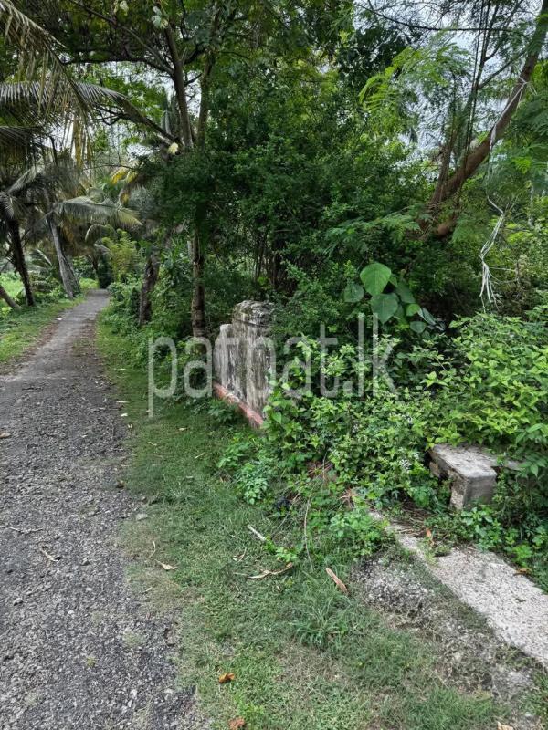 Commercial Land for Sale in Unawatuna
