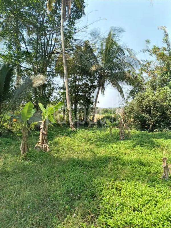 Commercial Land for Sale in Minuwangoda