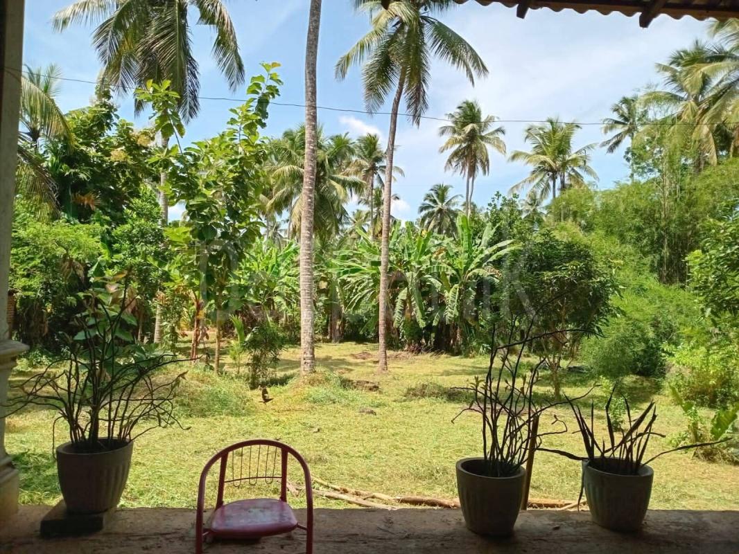 House for Sale in Dunagaha ads-image-1