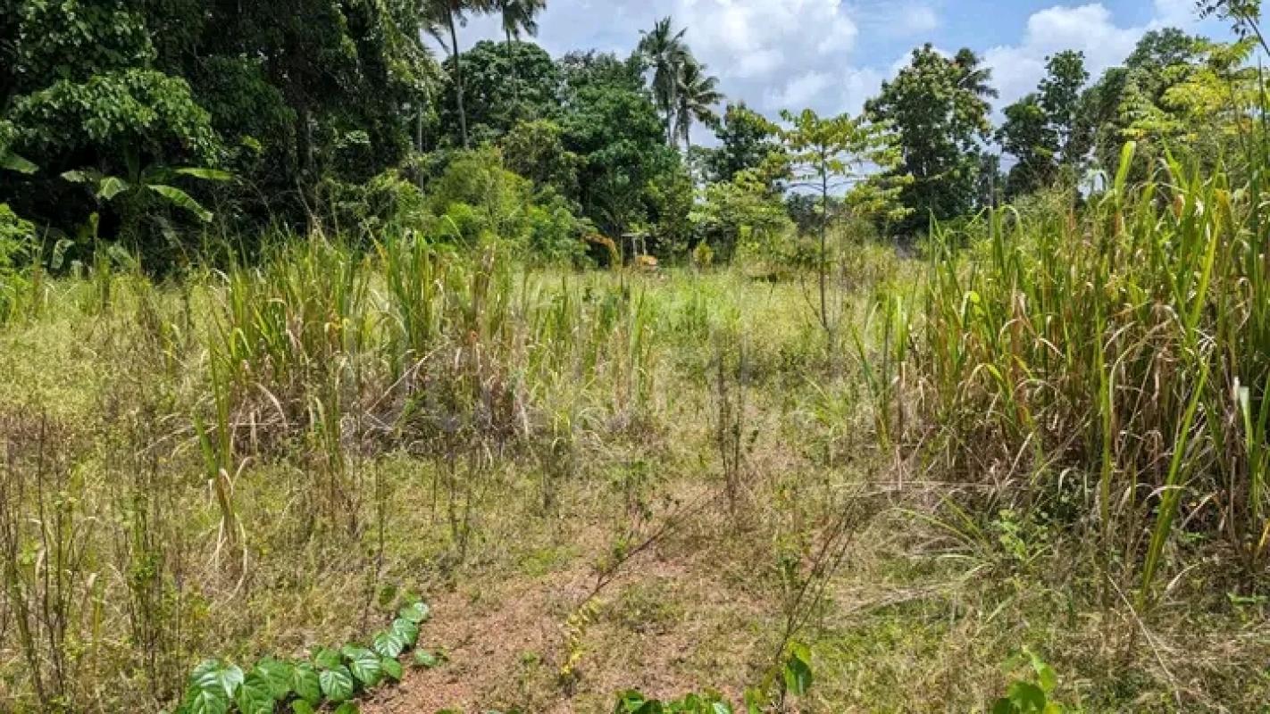 Commercial Land for Sale in Mirigama ads-image-1
