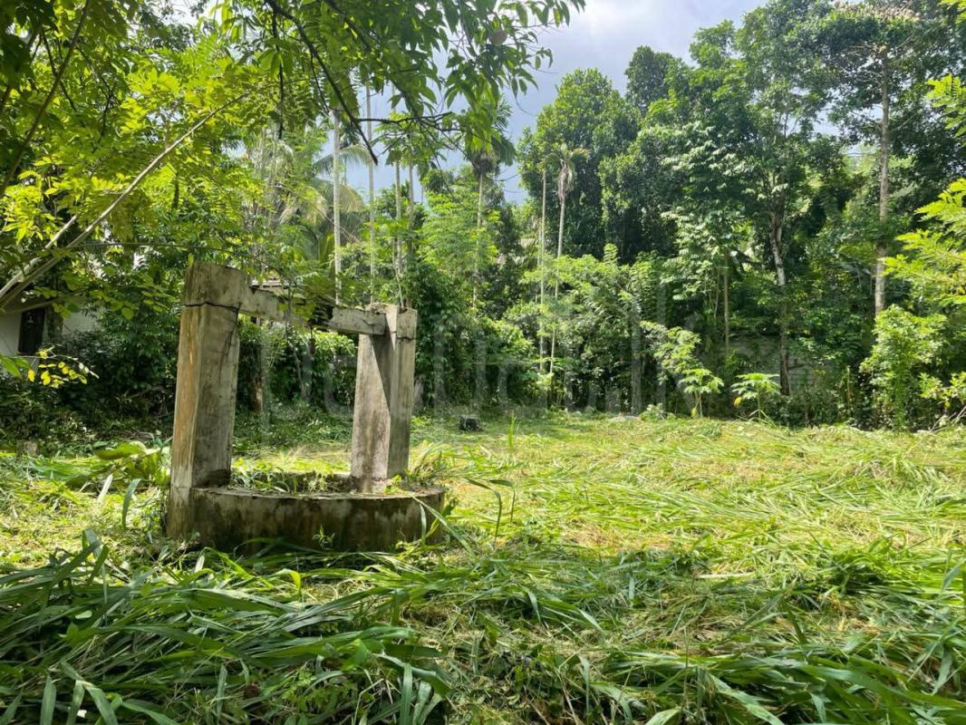 Residential Land for Sale in Kurunegala