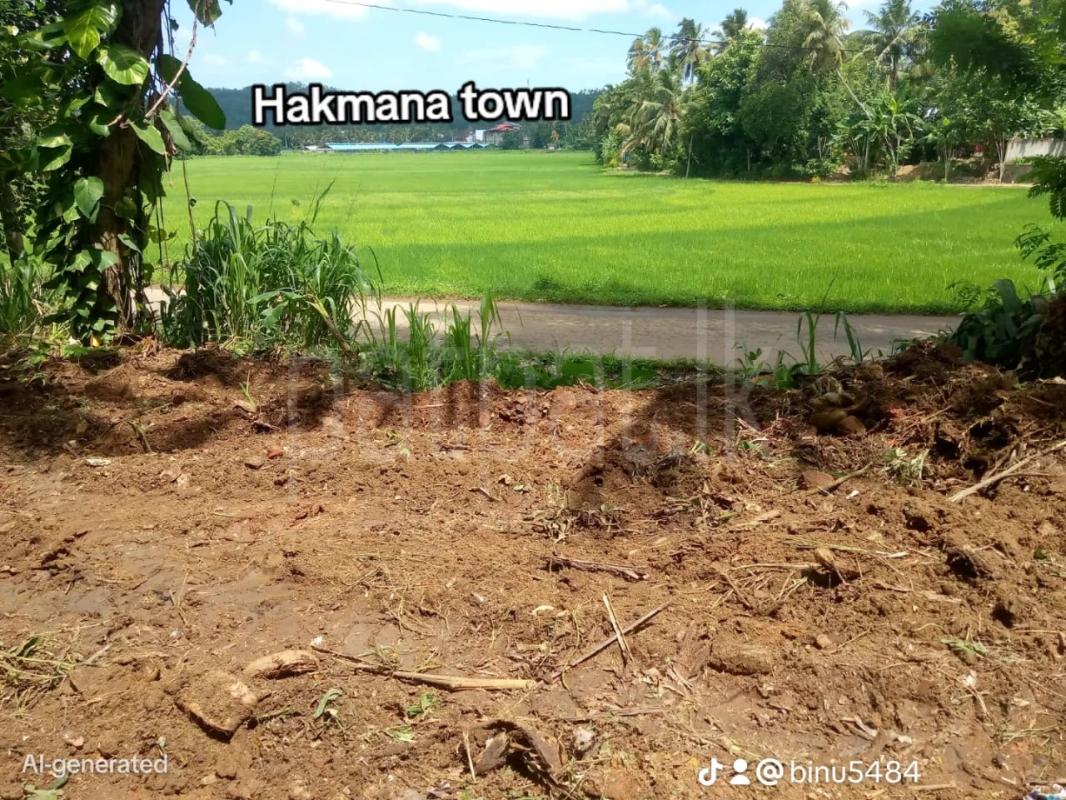 Commercial Land for Sale in Hakmana ads-image-1
