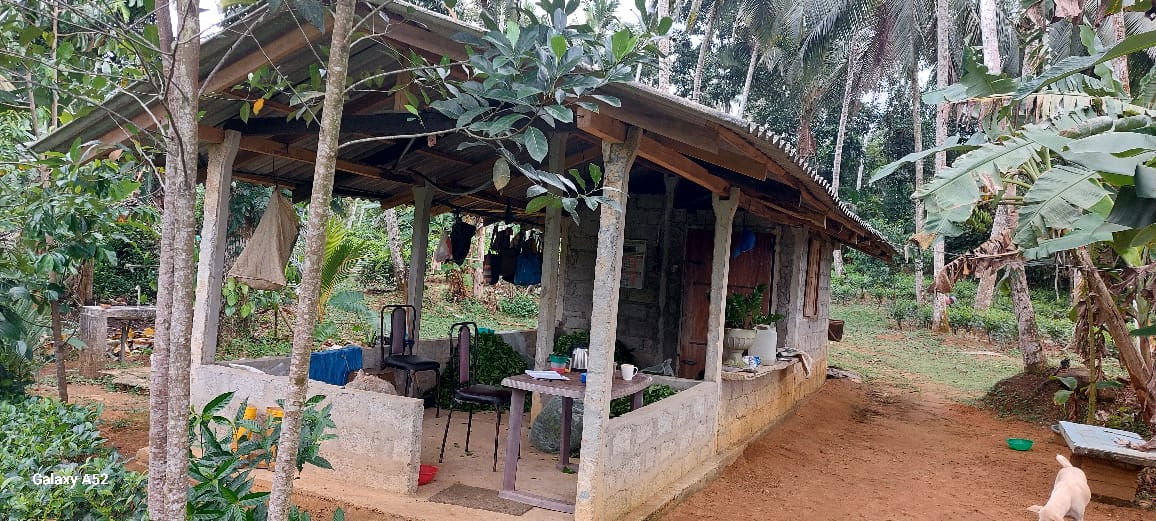 Agricultural Land for Sale in Matugama