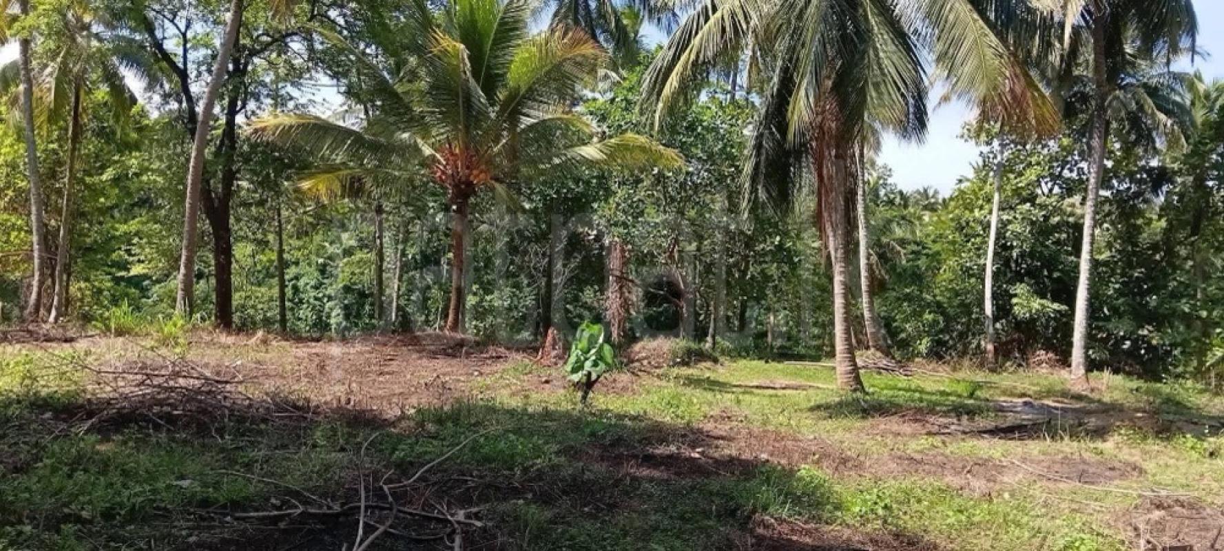 Agricultural Land for Sale in Melsiripura