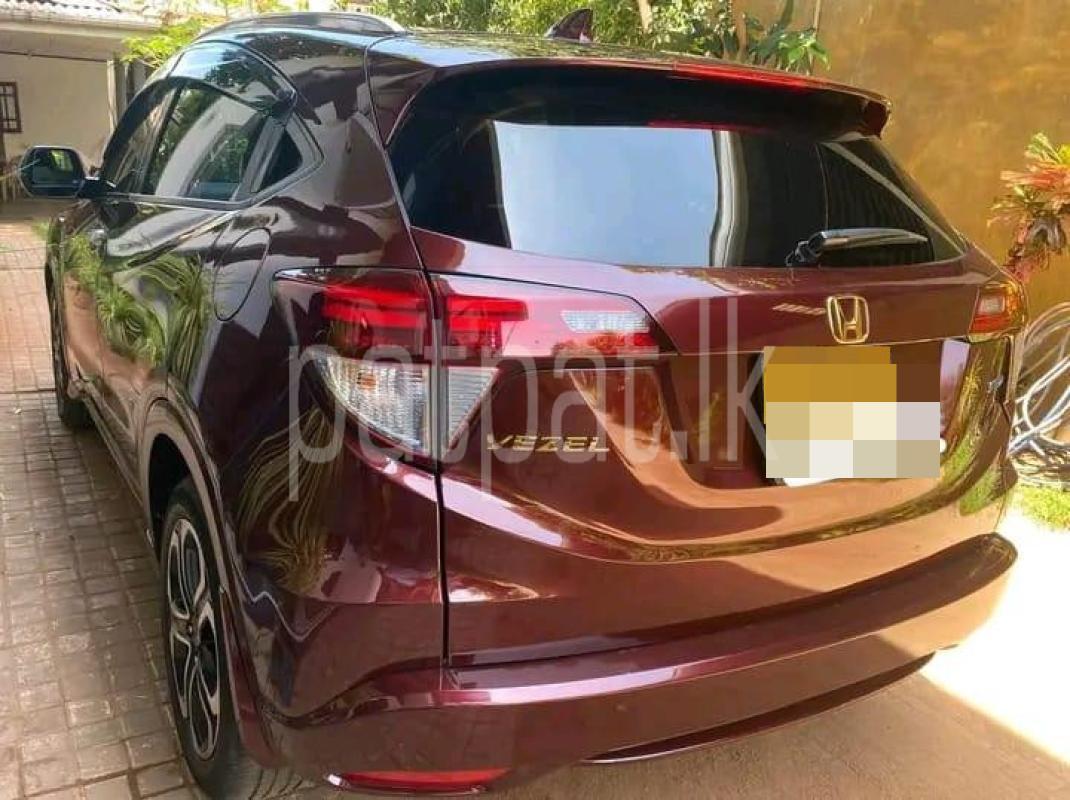 Advertisement image 2