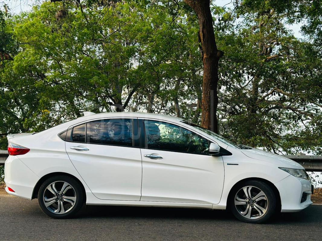 Advertisement image 6