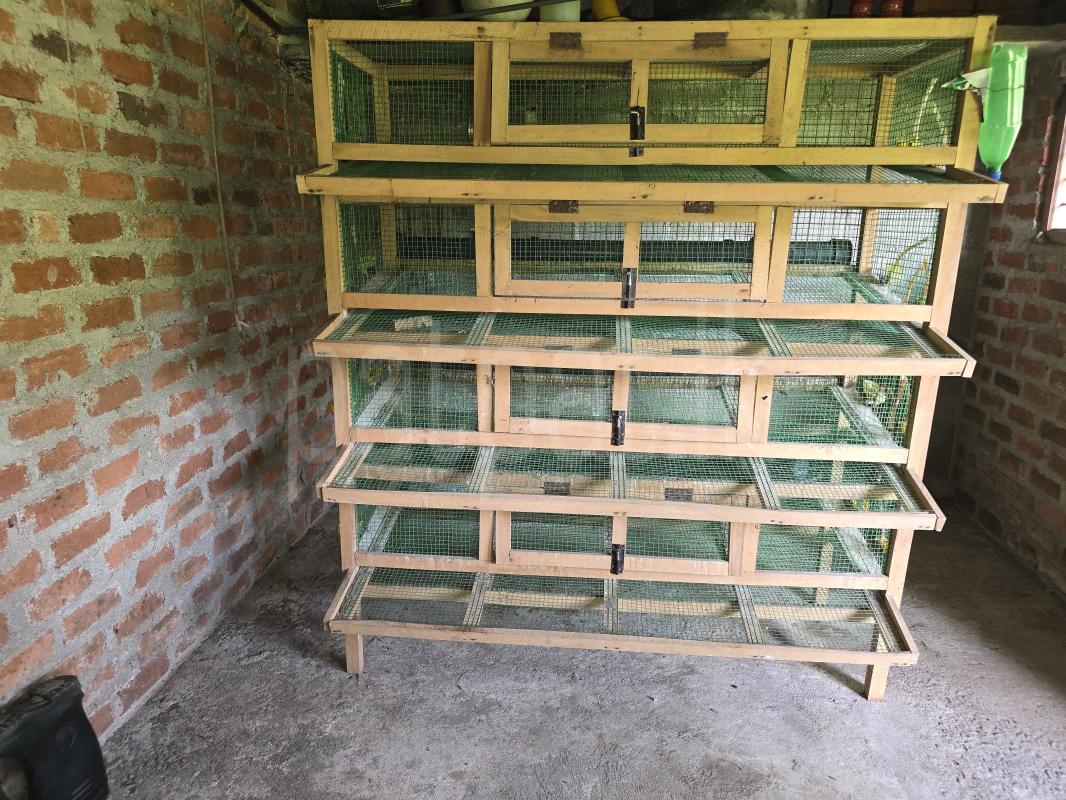 For sale chick cage