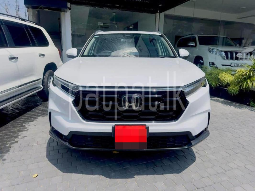 Advertisement image 1