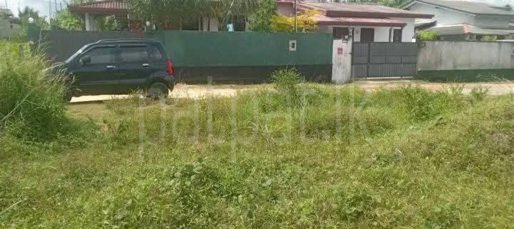 Advertisement image 6