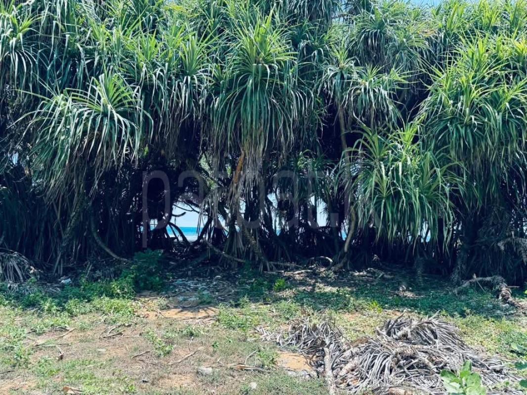 Residential Land for Sale in Waskaduwa