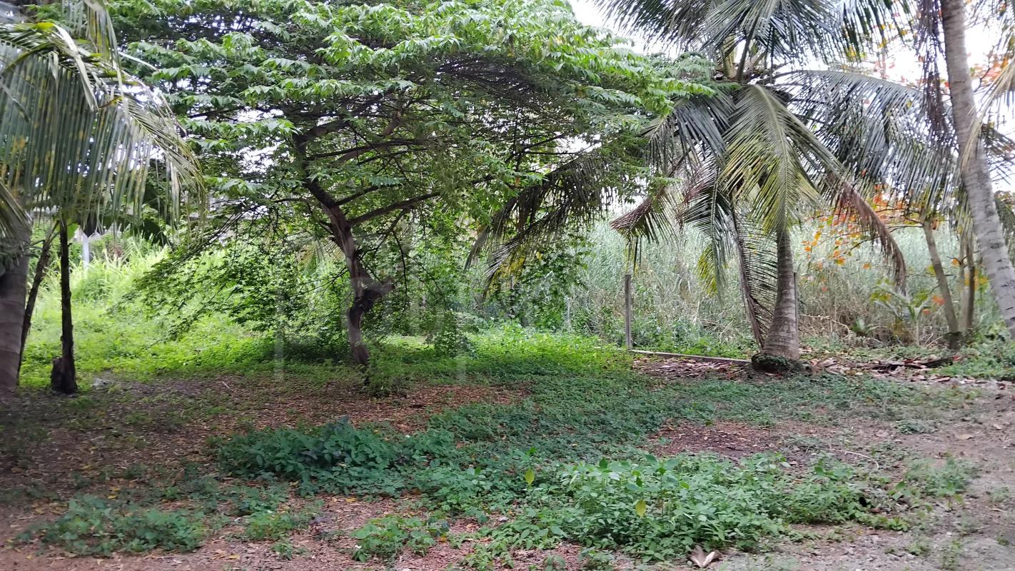 Residential Land for Sale in Negombo