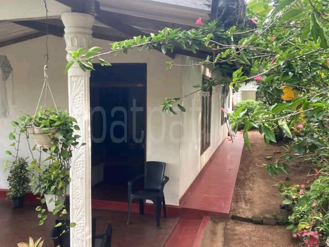 Commercial Land for Sale in Kelaniya