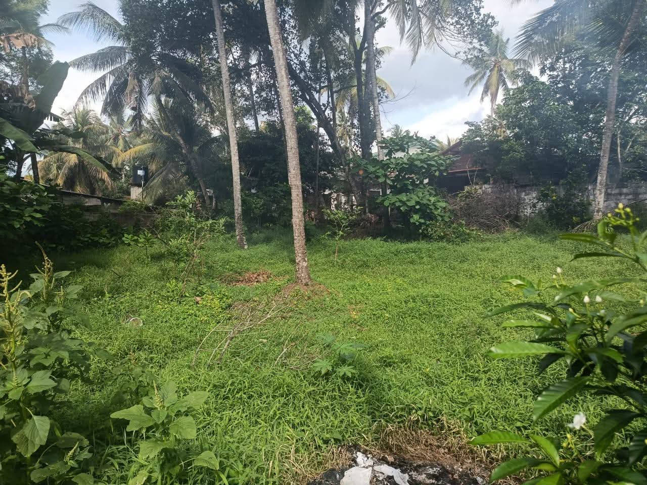 Agricultural Land for Sale in Kadawatha ads-image-1