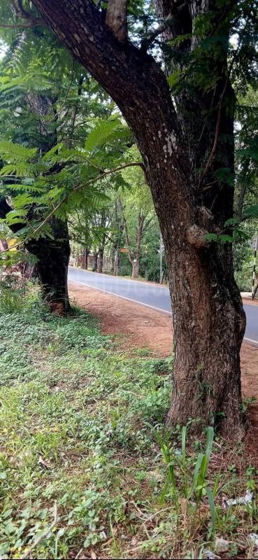 Residential Land for Sale in Sella Kataragama