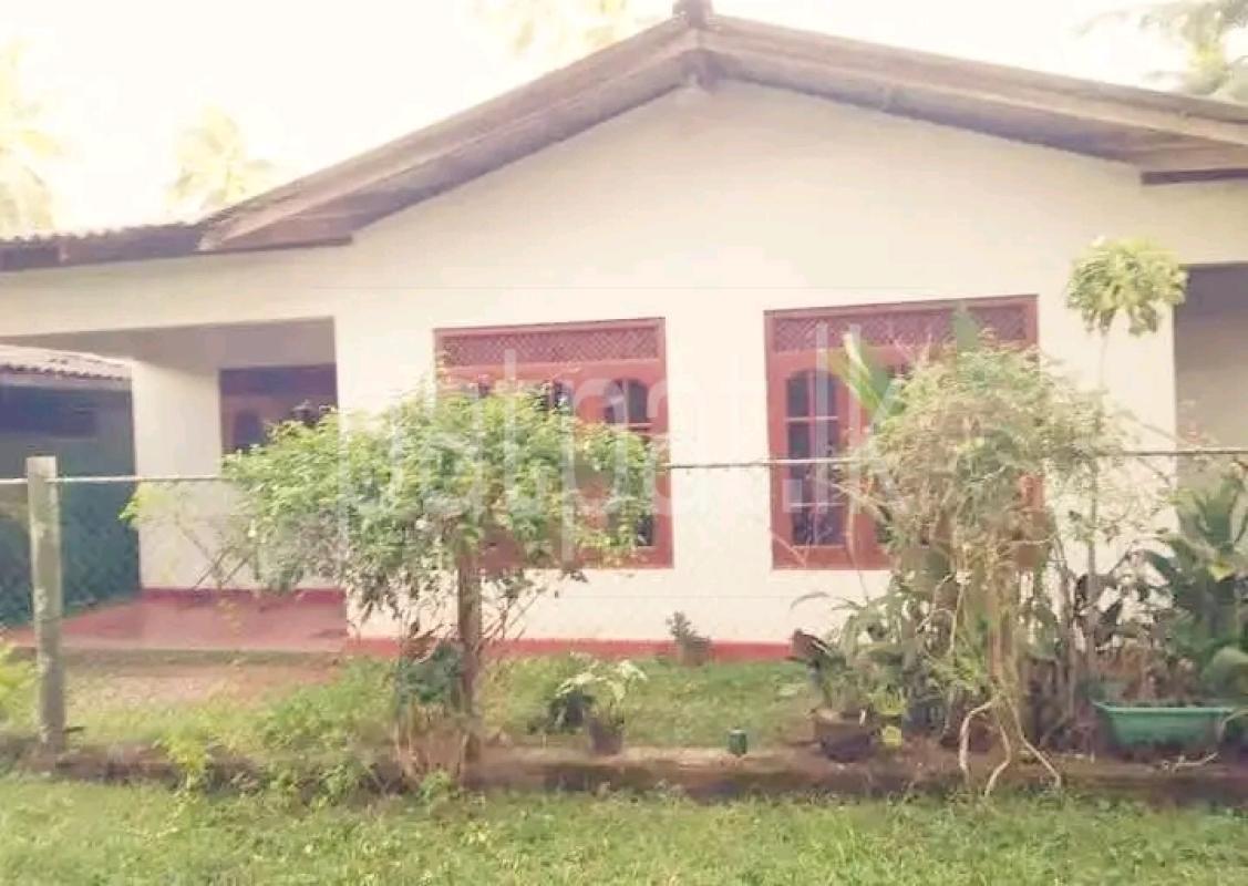 House for Sale in Wadduwa ads-image-1