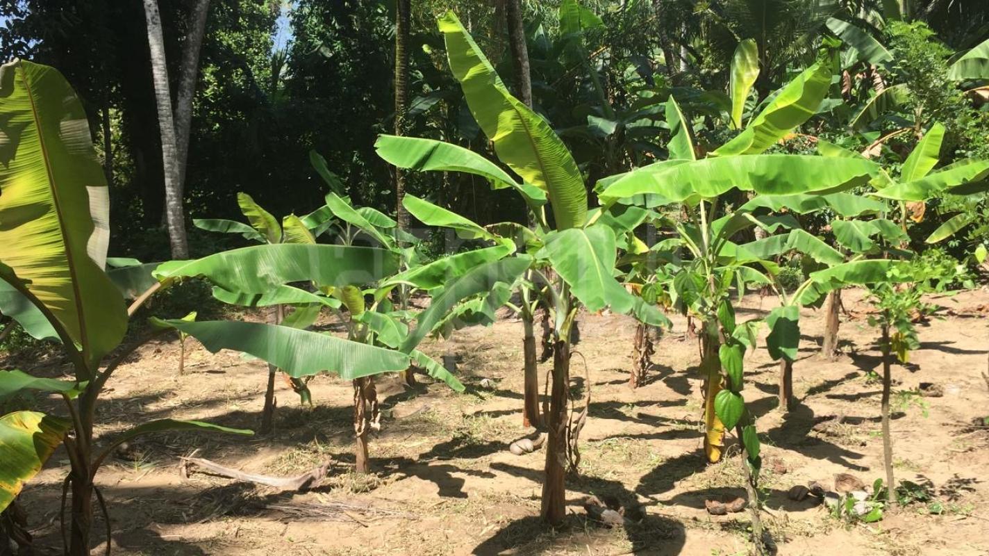 Residential Land for Sale in Kadawatha