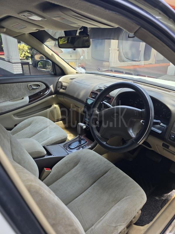 Advertisement image 3